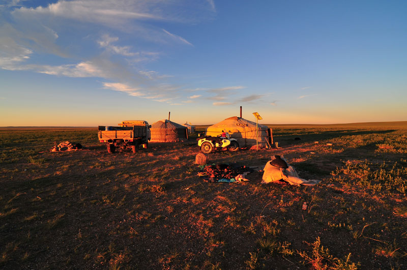 Mongolie
